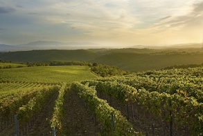 Private Tour: Siena, San Gimignano and Wine/Food Experience
