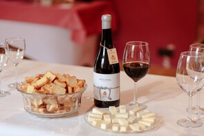 Guided Visit in Bodega San Juan Winery