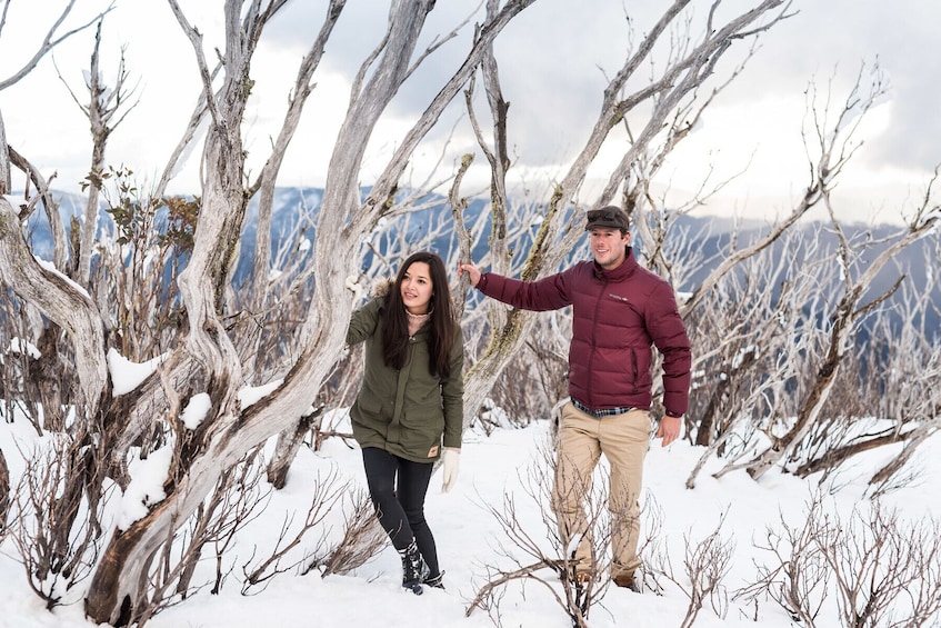 Lake Mountain Snow Resort Waterfalls & Chocolates Tour from Melbourne