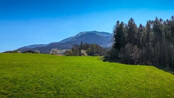 Offroad Segway Tour over the Samerberg from Nußdorf am Inn