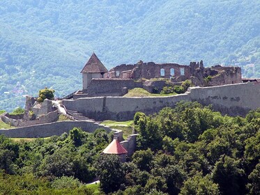 Tour privato dell'ansa del Danubio con pranzo e crociera in 6 lingue