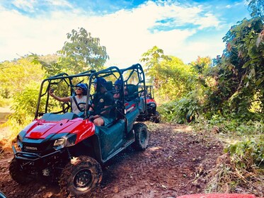 Jungle Buggies & Extreme Ziplines Adventure from Punta Cana