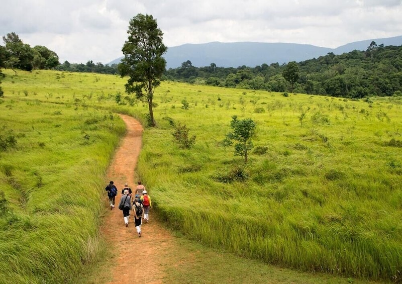 Khao Yai National Park with Waterfall & Hiking