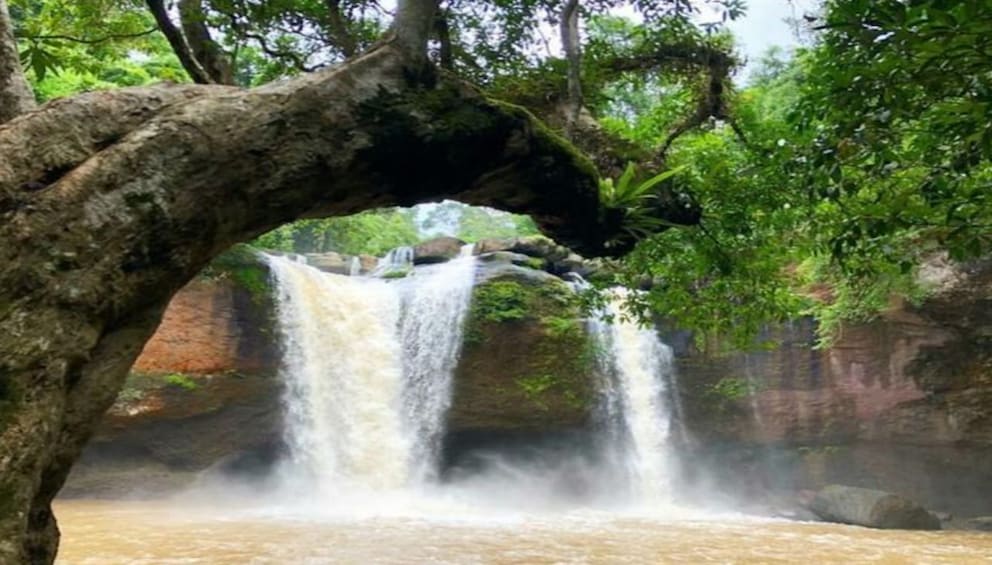 Show item 4 of 8. Khao Yai National Park with Waterfall & Hiking