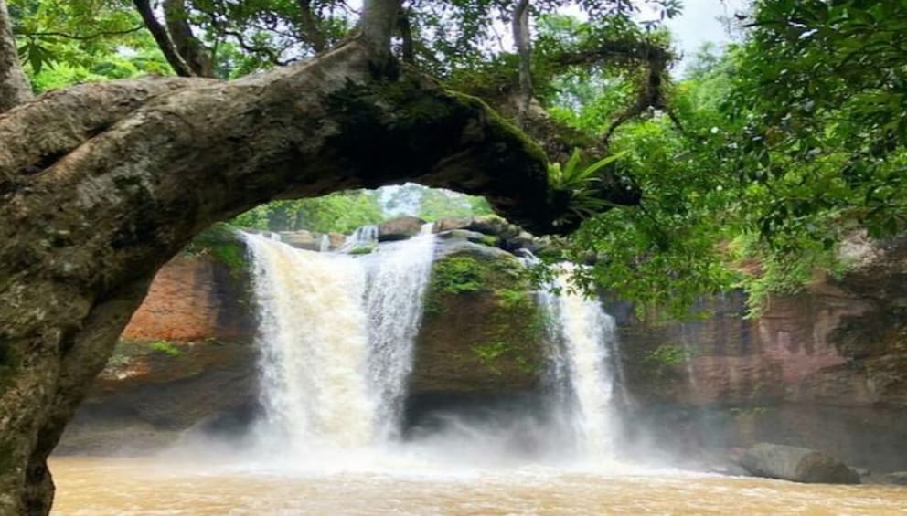 Khao Yai National Park with Waterfall & Hiking