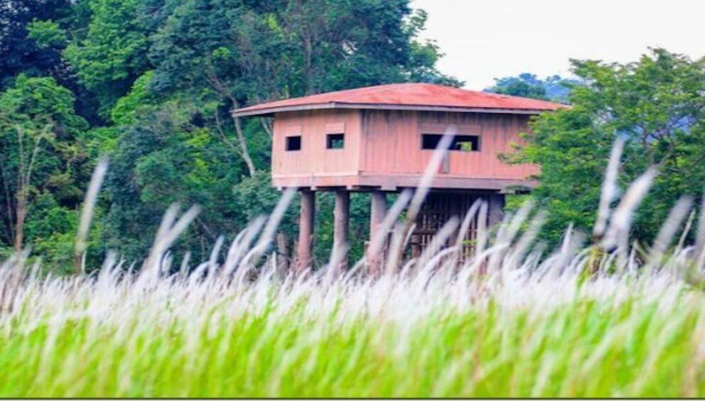 Show item 5 of 8. Khao Yai National Park with Waterfall & Hiking