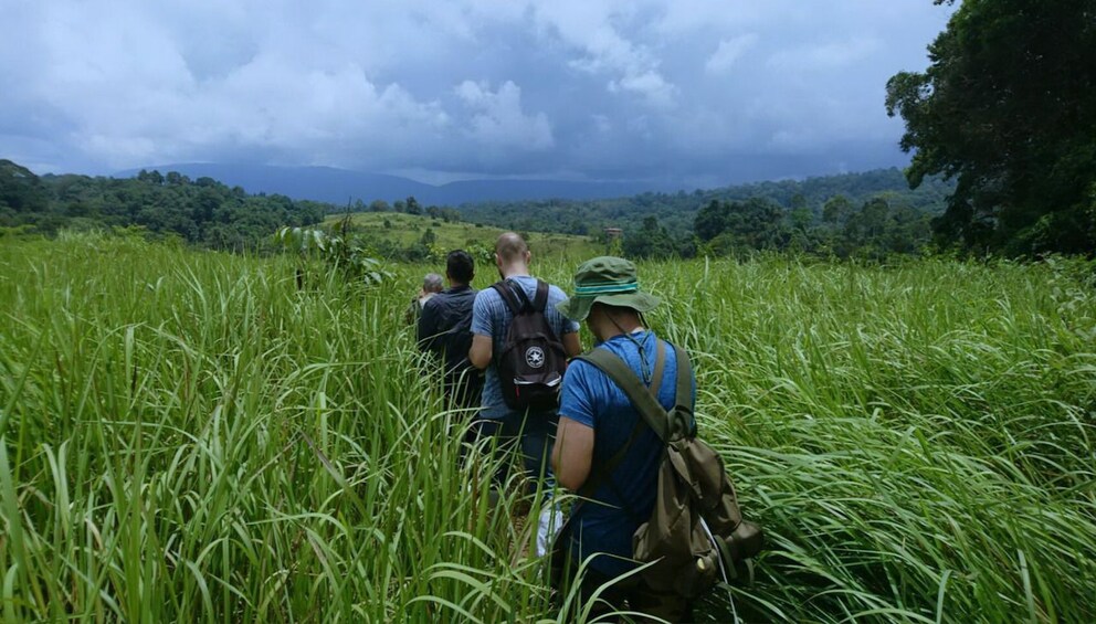 Khao Yai National Park with Waterfall & Hiking