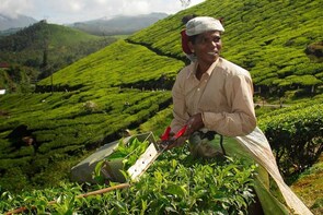 KERALA TOUR PACKAGE 8 DAYS