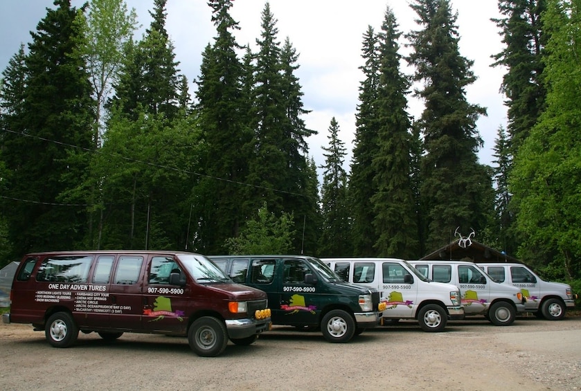 Shared Shuttle - Fairbanks to Denali Shuttle