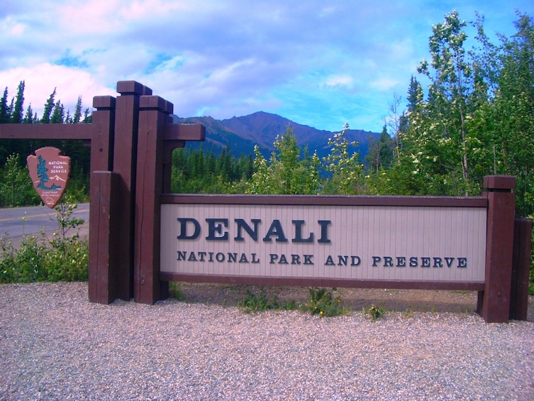 Shared Shuttle - Fairbanks to Denali Shuttle