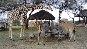 Full-Day Tour of Mombasa
