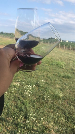 Wine Tour Niagara On The Lake -Afternoon Tour with Cheese 