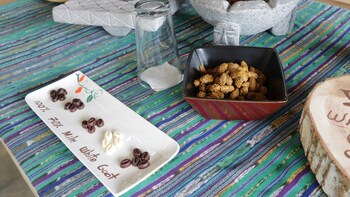 Eden Chocolate Tasting Experience
