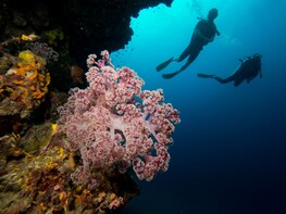 Fun Diving Safari From Koh Lanta - Certified Divers