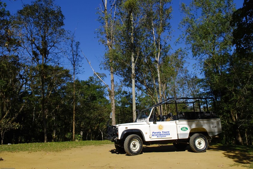 Rainforest Waterfalls - Jeep tour