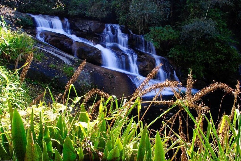 Rainforest Waterfalls - Jeep tour