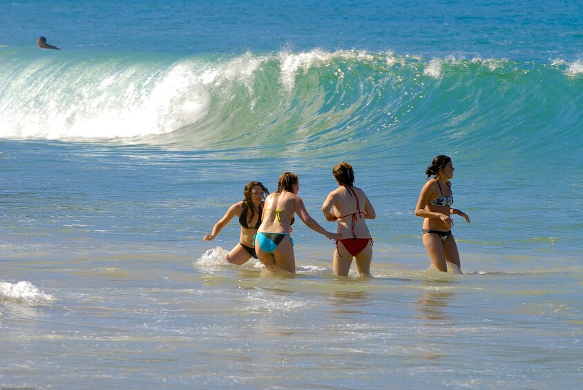 TRINDADE'S BEACHES - FISHING VILLAGE 