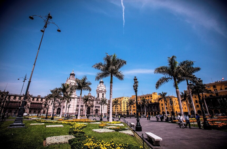 Full-Day Private Tour to Larco Museum and Lima Sightseeing