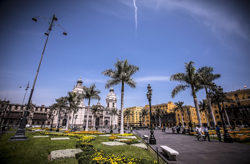 Lima city tour and Larco museum