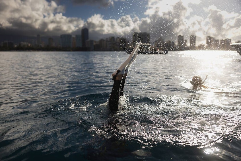 Snorkel & Nature Cruise