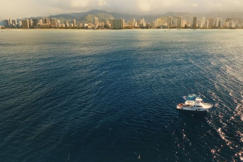 Snorkel & Nature Cruise