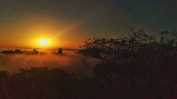 Tikal Early Experience