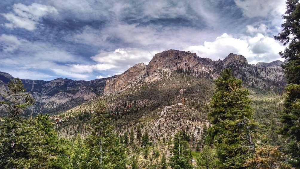 Mount Charleston Tour