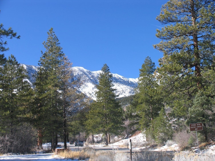 Mount Charleston Tour