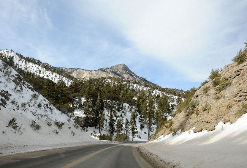 Mount Charleston Tour