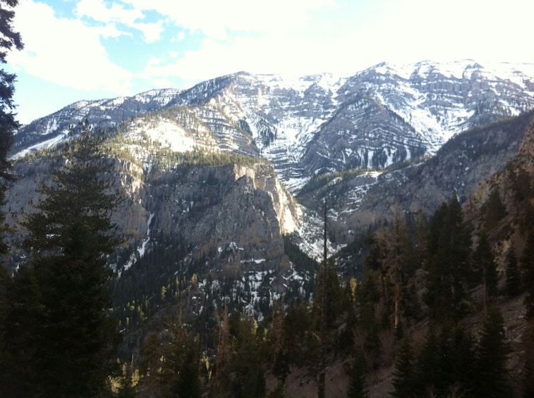 Mount Charleston Tour