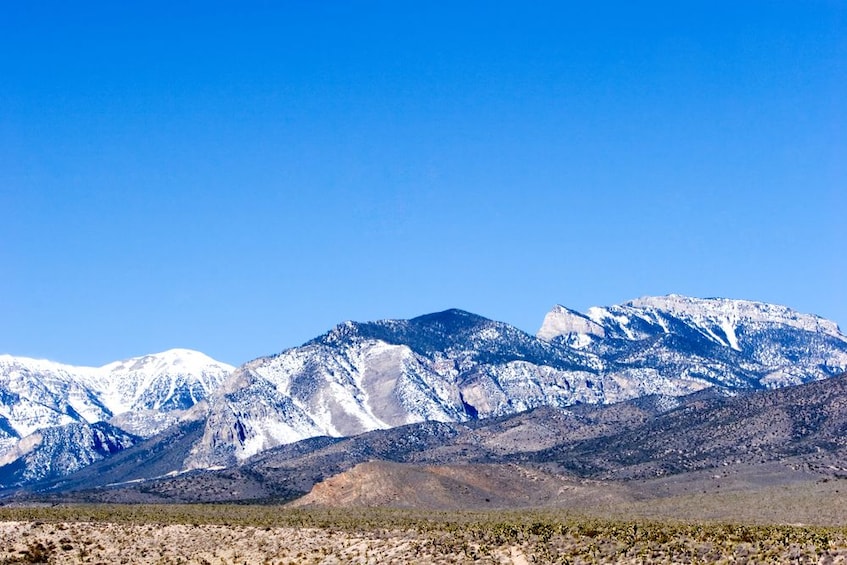 Mount Charleston Tour