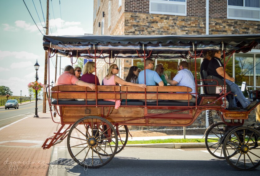2 Hour Gettysburg Battlefield Licensed Guided Carriage Tour