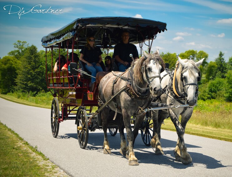 2 Hour Gettysburg Battlefield Licensed Guided Carriage Tour 
