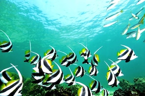 Coral Island Escapade (ex-Langkawi) - Small Group Tour