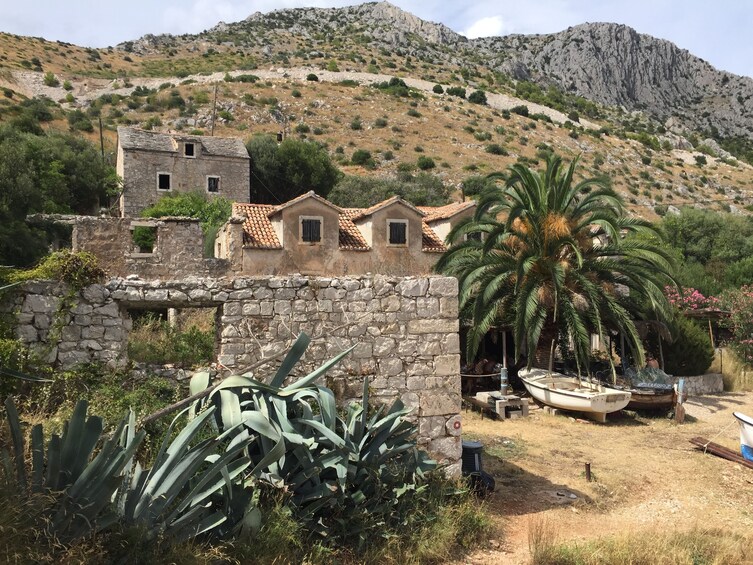 Hvar Island Tour and Olive Oil Tasting
