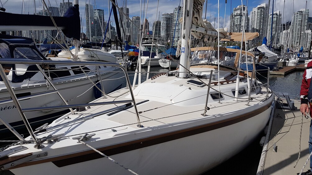 3Hour Sailing Charter in Vancouver Sailors Delight