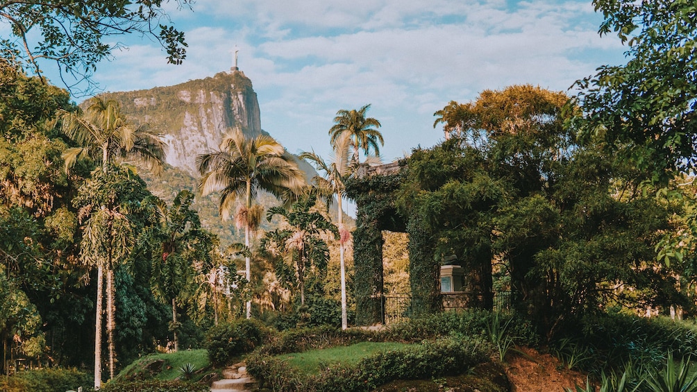 Tijuca Forest and Botanical Garden