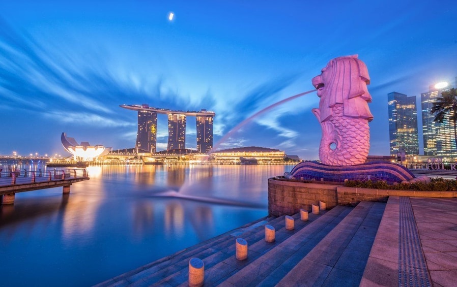 Singapore City tour With Flyer