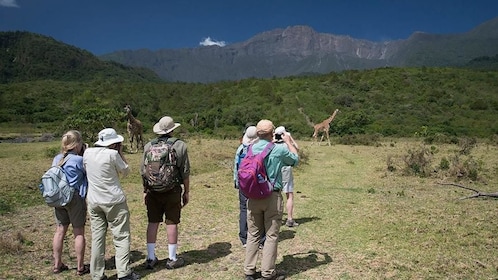 ARUSHA NATIONAL PARK DAY TOUR            