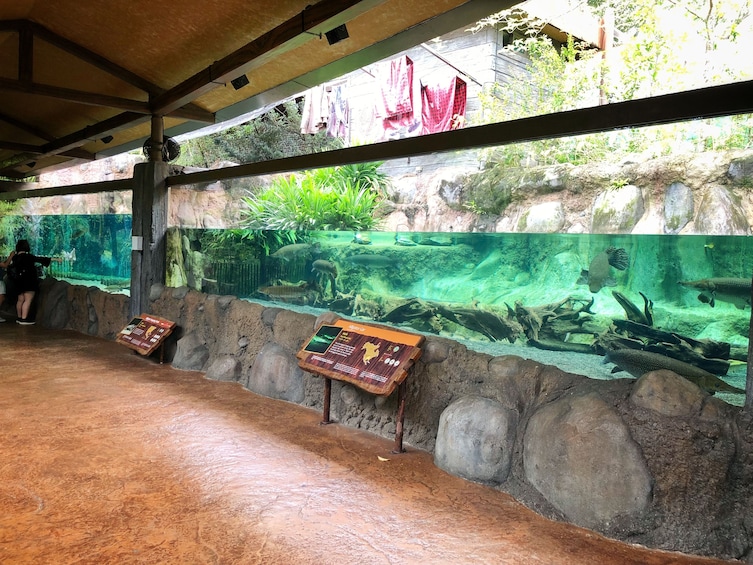 River Safari Singapore with Boat Ride