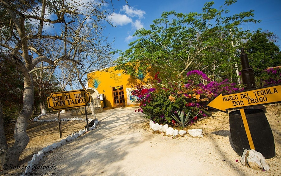 Outside of the Don Tadeo Tequila Museum