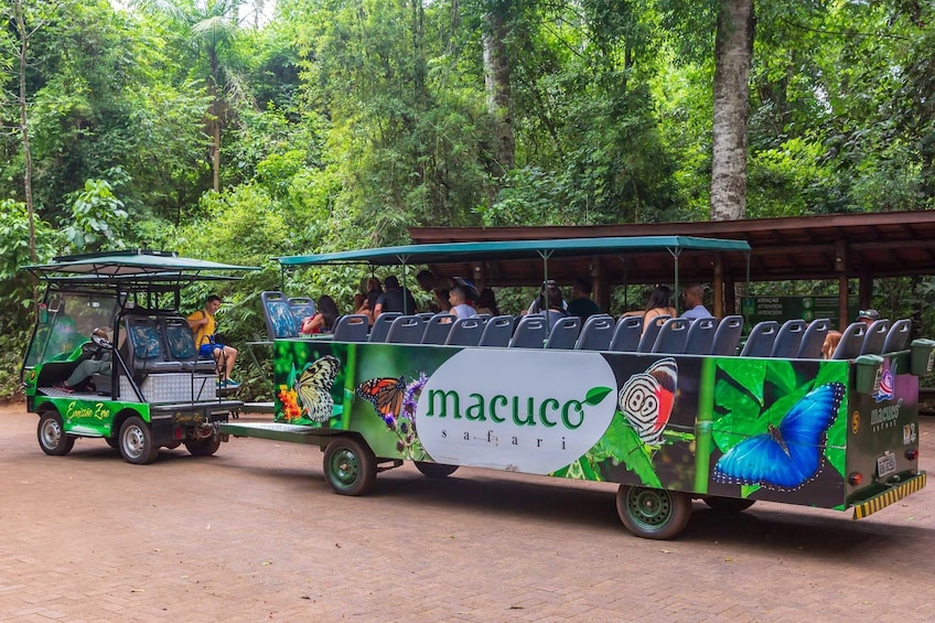 Macuco Safari