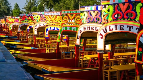 Half day Xochimilco - CU - Coyoacan