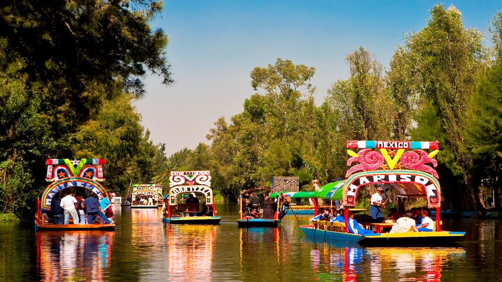 Half day Xochimilco - CU - Coyoacan