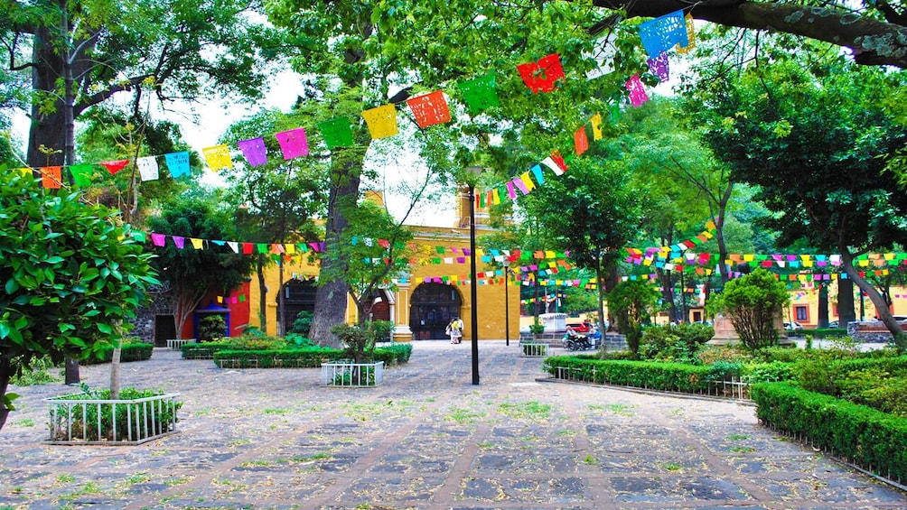 Half day Xochimilco - CU - Coyoacan