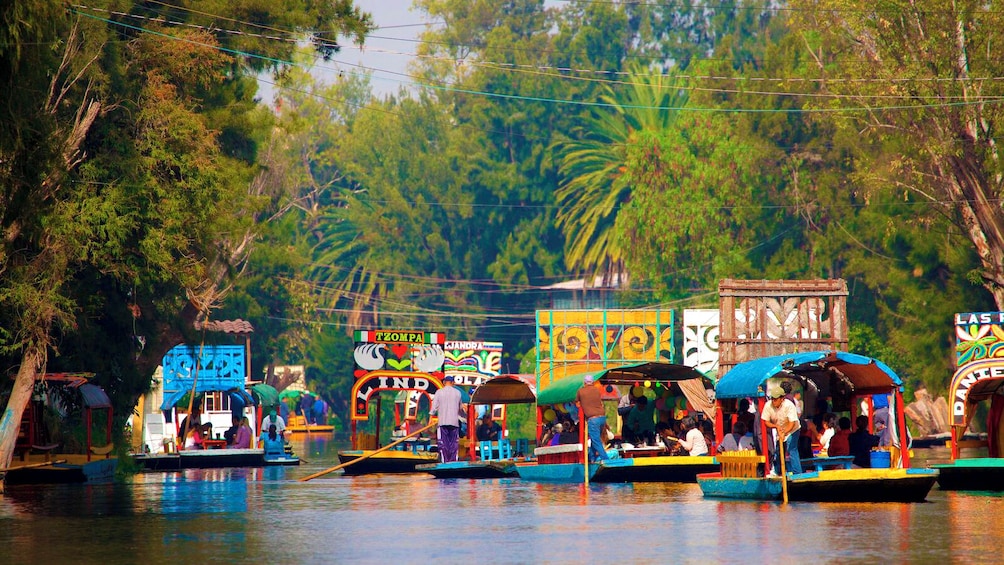 Half day Xochimilco - CU - Coyoacan