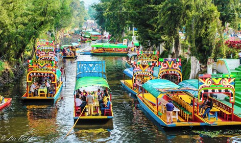 Half day Xochimilco - University City Murals - Coyoacan