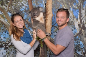 General Admission + Personal Koala Encounter