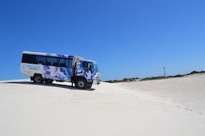 Lancelin 4WD Sand Dunes and Sand Boarding Adventure