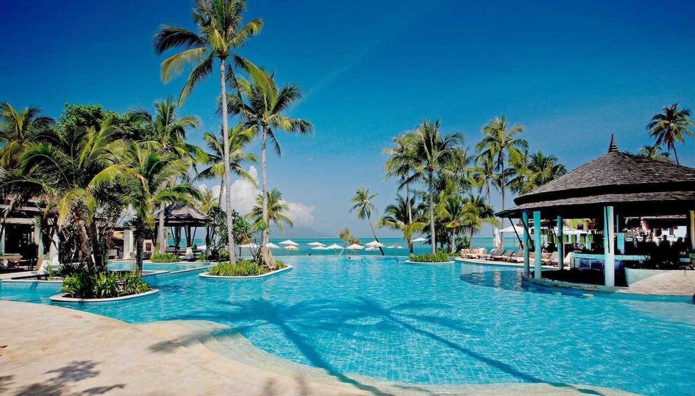 Pool at a Resort & Spa